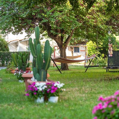 Amarylis Apartments Elaionas  Εξωτερικό φωτογραφία