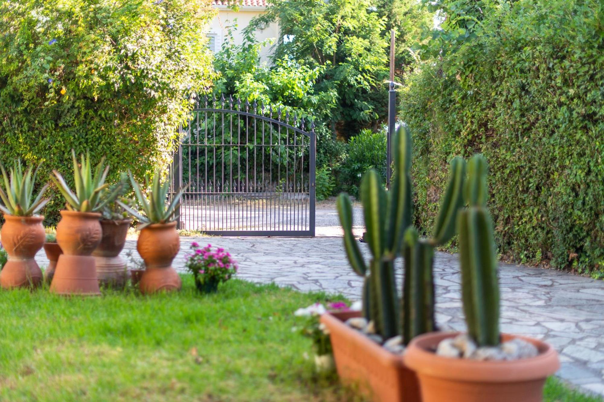 Amarylis Apartments Elaionas  Εξωτερικό φωτογραφία