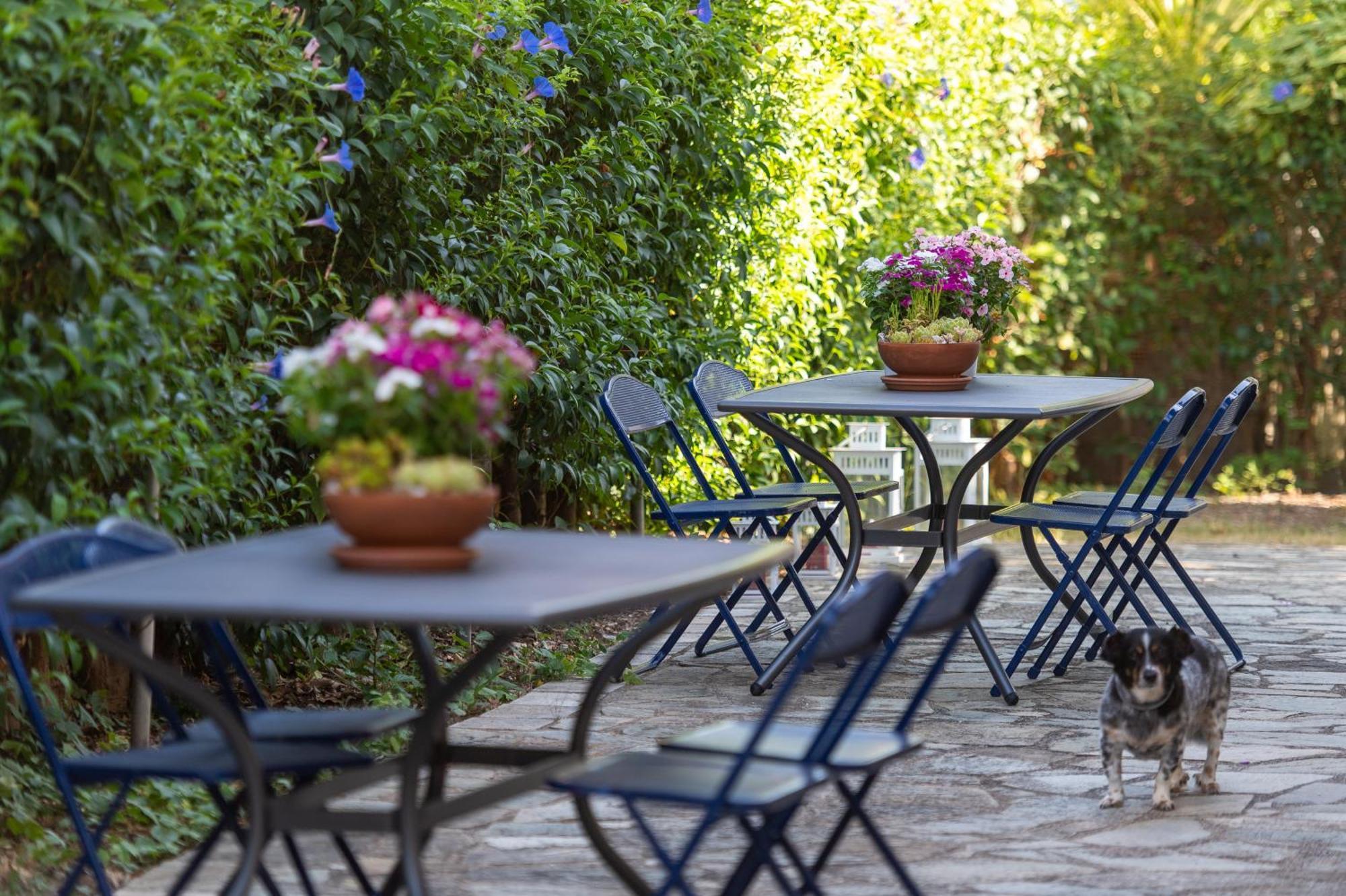 Amarylis Apartments Elaionas  Εξωτερικό φωτογραφία