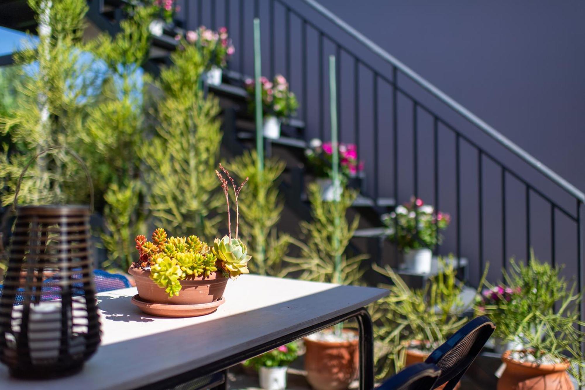 Amarylis Apartments Elaionas  Δωμάτιο φωτογραφία