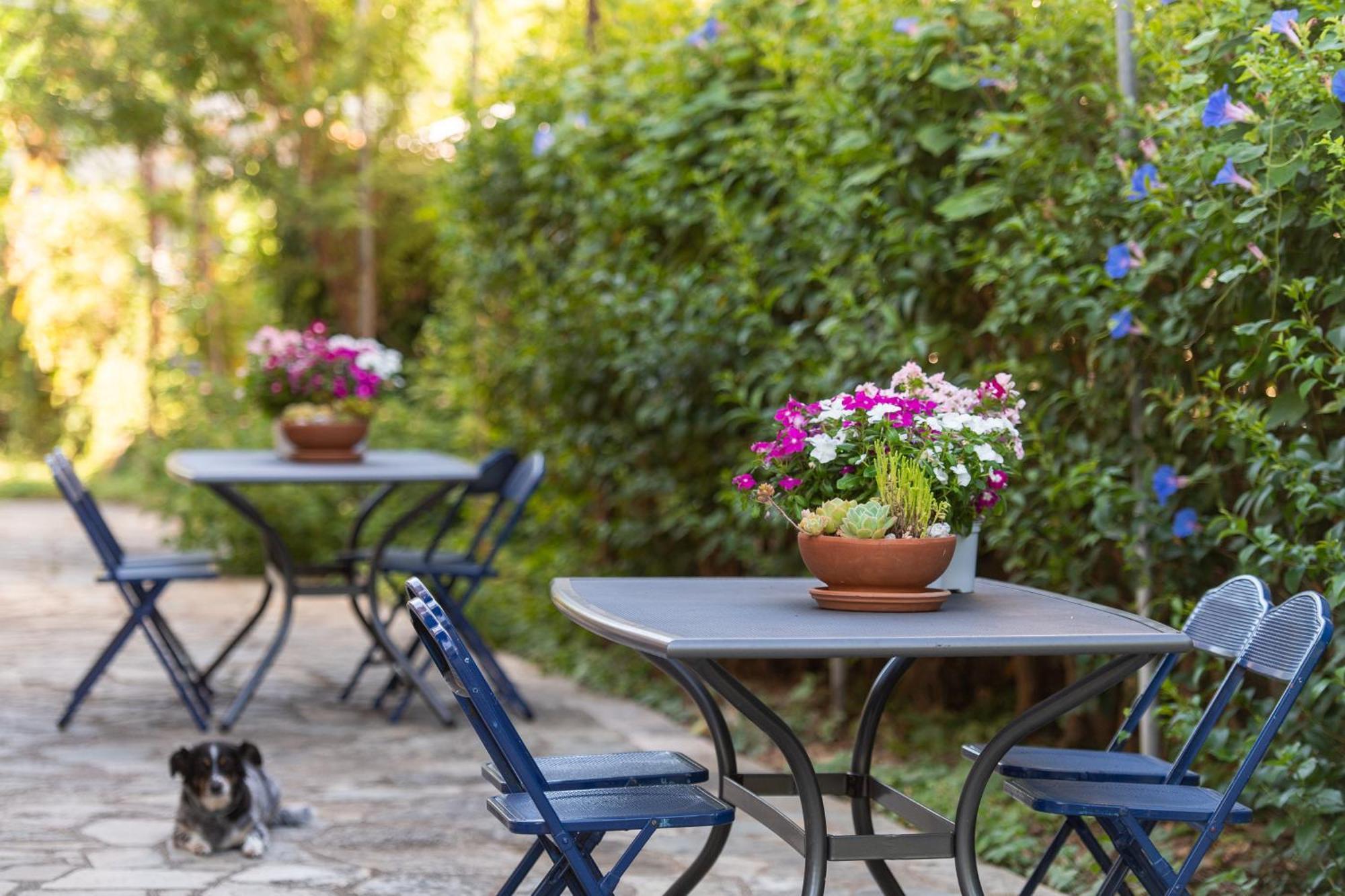 Amarylis Apartments Elaionas  Δωμάτιο φωτογραφία